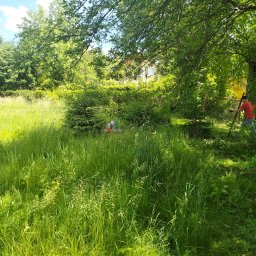 Karol pa - Mężczyzna w czerwonej koszulce i jeansach, w otoczeniu bujnej zieleni i wysokiej trawy, używa nożyc do żywopłotu przy ogrodzeniu z siatki.