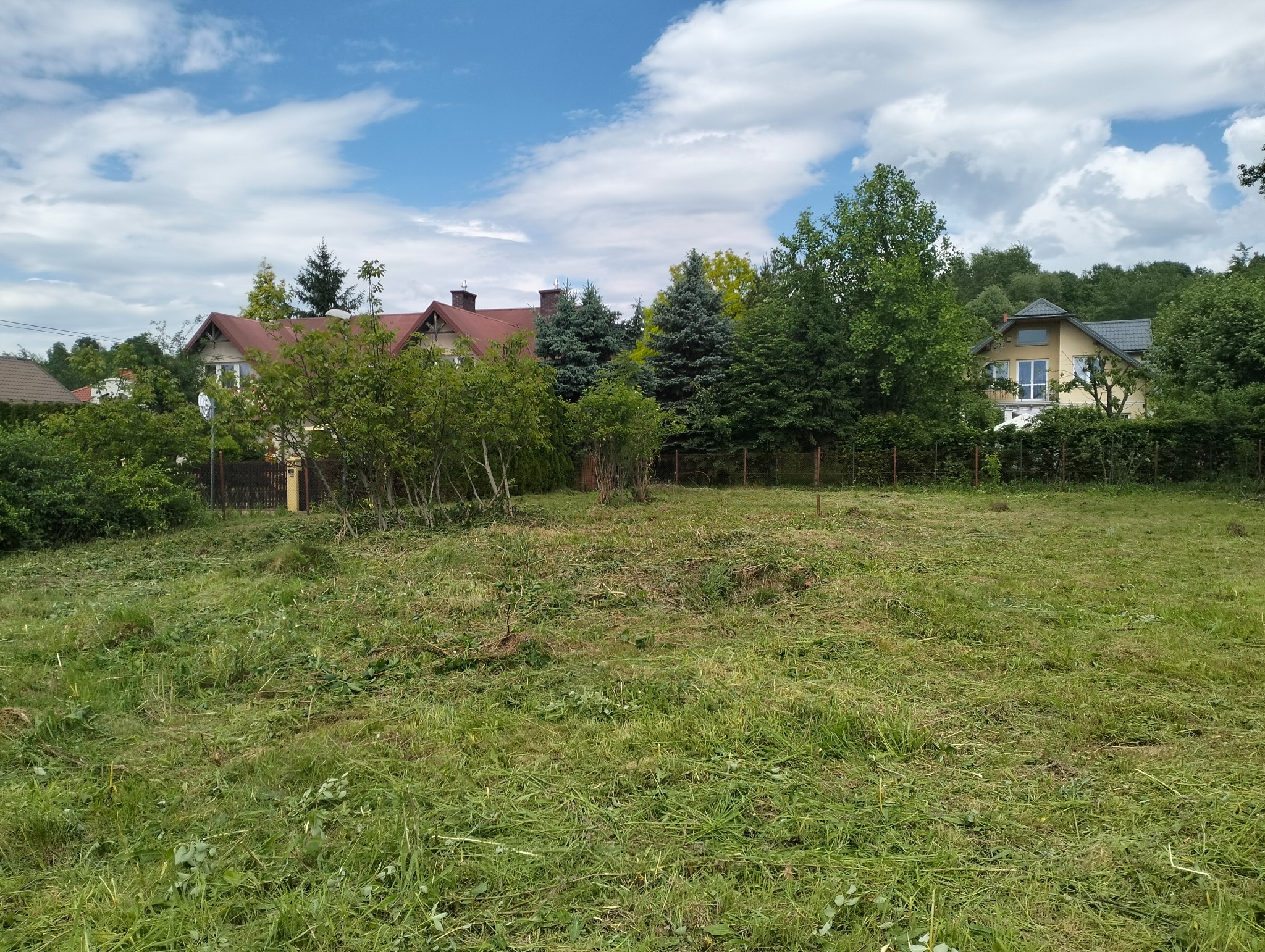 Trawa po skoszeniu na działce z domami w tle, widoczne resztki trawy i nierówności terenu.