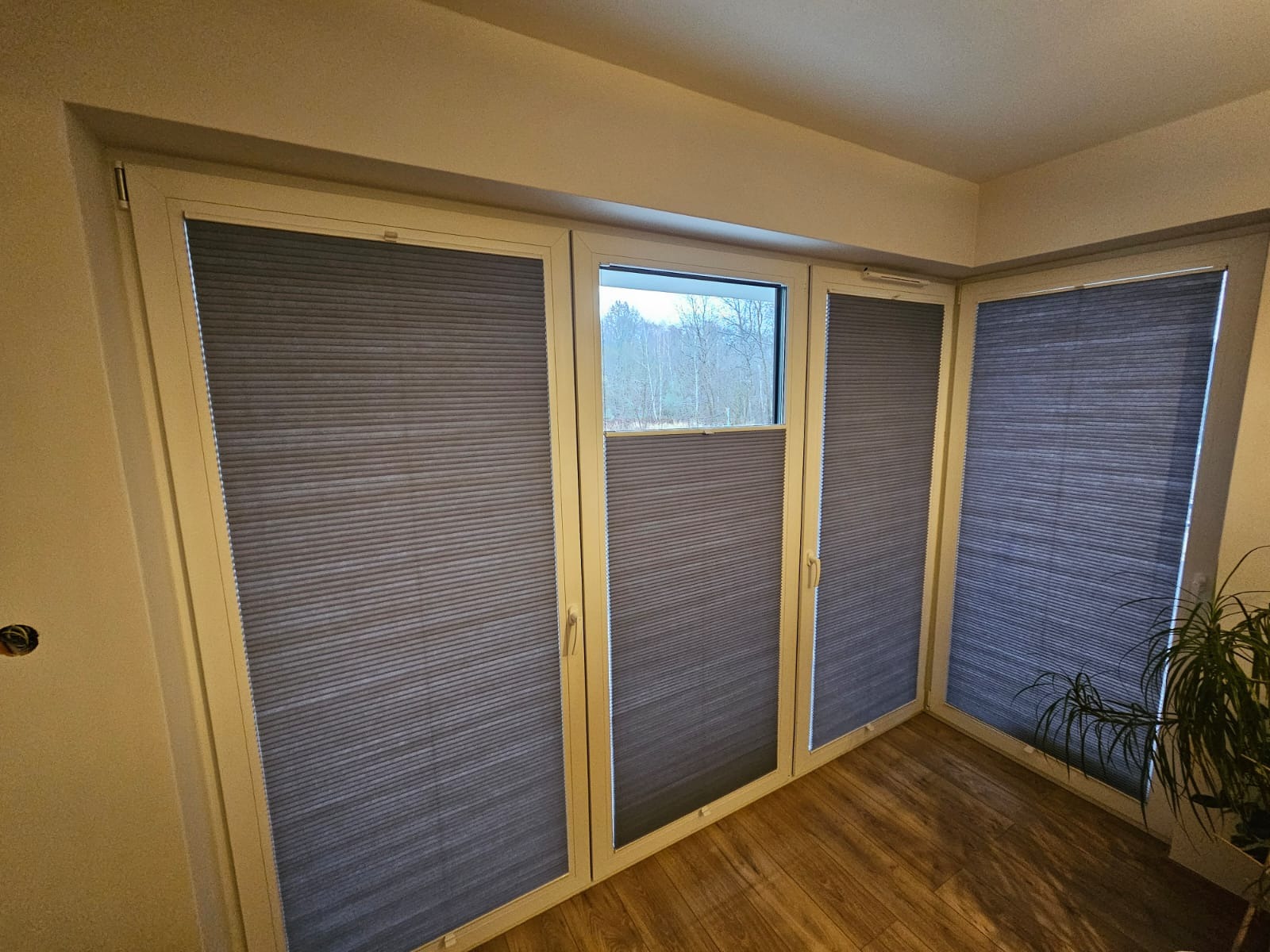 Szare, plisowane osłony okienne zamontowane w trzech oknach, z widokiem na zewnątrz i parkietem na podłodze.