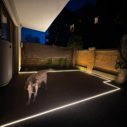 TARASY PÓŁNOCY - Oświetlony taras nocą z psem rasy golden retriever. Podświetlenie LED wzdłuż krawędzi tarasu, ceglany mur w tle. Nastrojowe oświetlenie.