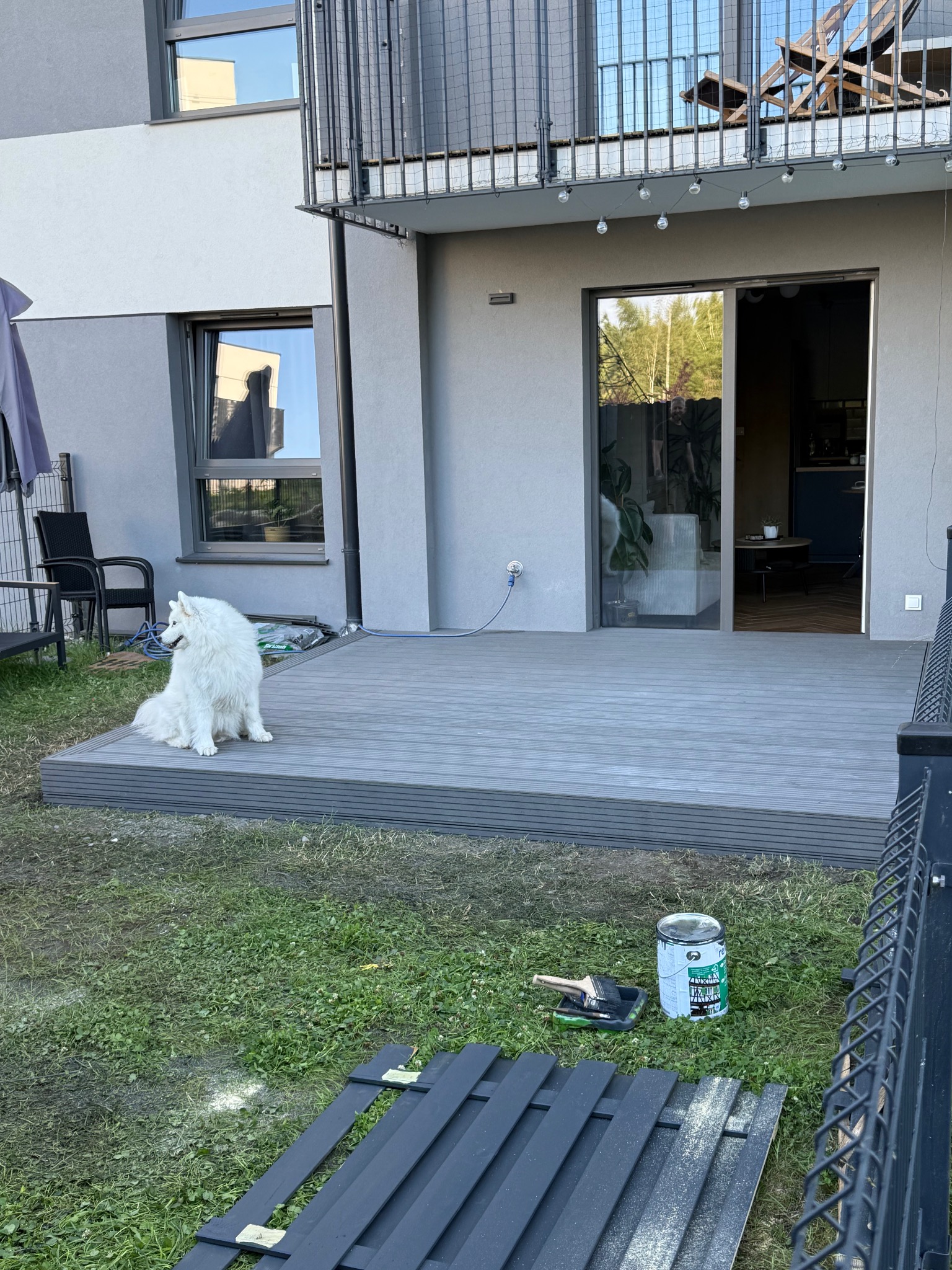 Szary taras kompozytowy przy nowoczesnym domu z psem rasy Samoyed. W tle drzwi balkonowe i metalowa balustrada. Na trawie puszka z farbą i pomalowane deski.