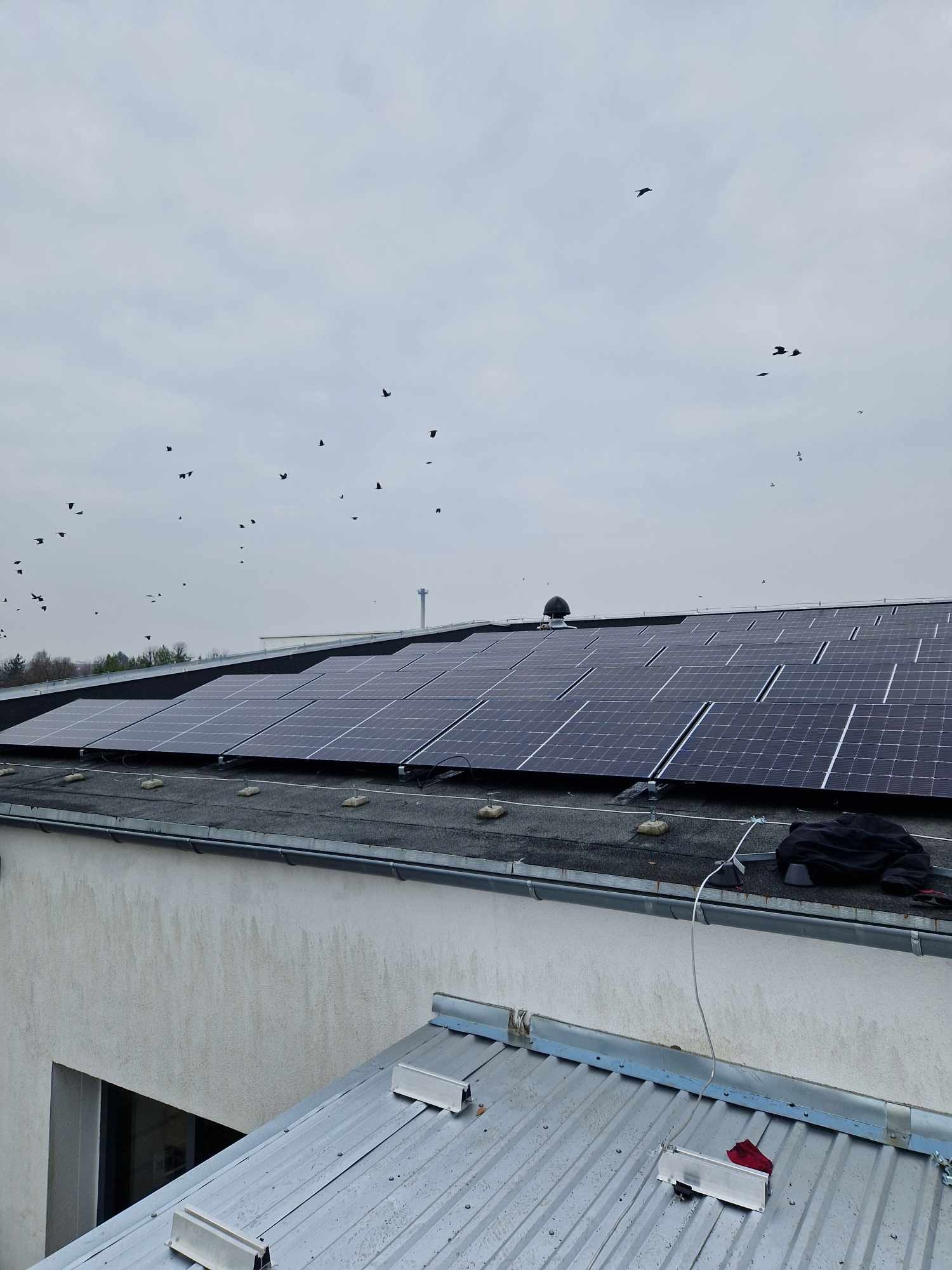 Płaski dach pokryty panelami słonecznymi w pochmurny dzień, z widocznym ubraniem roboczym i dużą ilością ptaków na niebie.