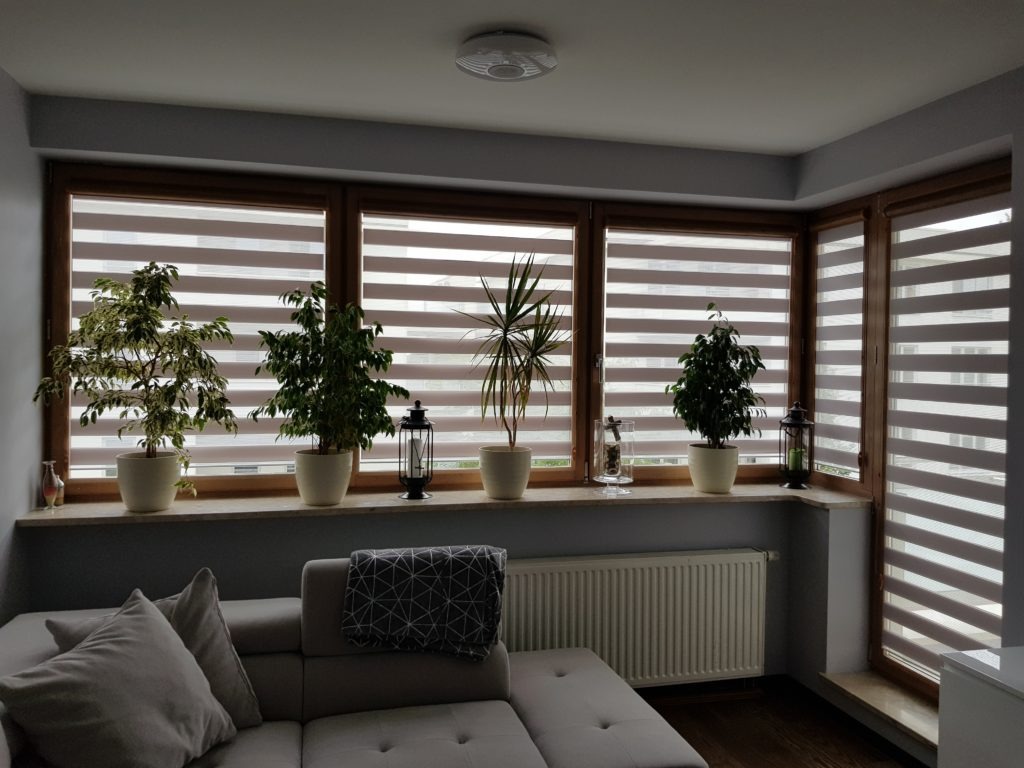Salon z szarym narożnikiem i oknami przesłoniętymi roletami dzień-noc, na parapetach doniczkowe rośliny i dekoracyjne lampiony.