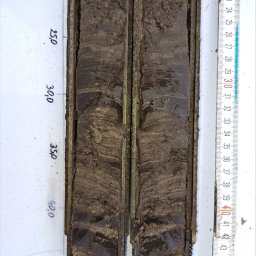 Grunt pobrany w próbniku SPT. Widoczna wyraźne laminacja warstewek pyłu i piaseku pylastego. 