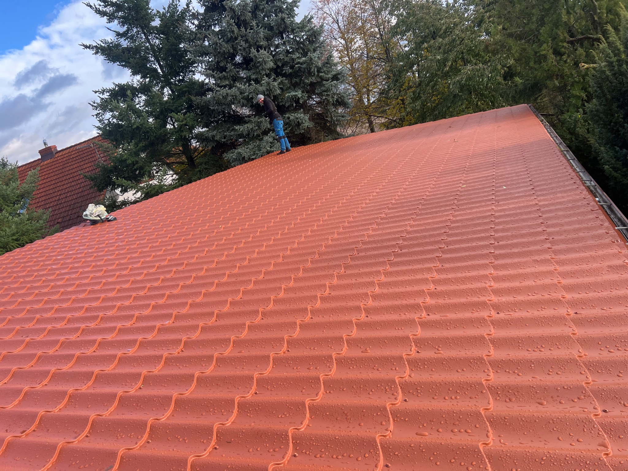 Czerwony dach z blachodachówki, pokryty kroplami wody po deszczu. Na dachu stoi dekarz w niebieskich spodniach. W tle drzewa i fragment budynku z czerwoną dachówką.