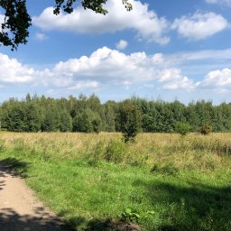 Koszenie trawy Boguszów-Gorce 3