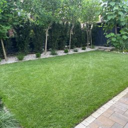 Kamil Kamieński - Starannie utrzymany trawnik z równo przystrzyżoną trawą, obrzeżony kostką brukową i białym żwirem, z rzędem drzew i krzewów w tle, oraz mężczyzną doglądającym roślinności w prawym górnym rogu.