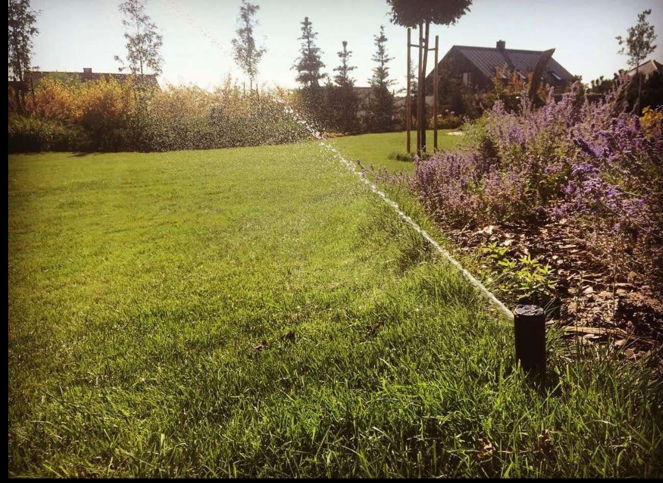 Zraszacz rotacyjny nawadnia równomiernie trawnik, z tyłu rabata z kwitnącymi na fioletowo roślinami i drzewa