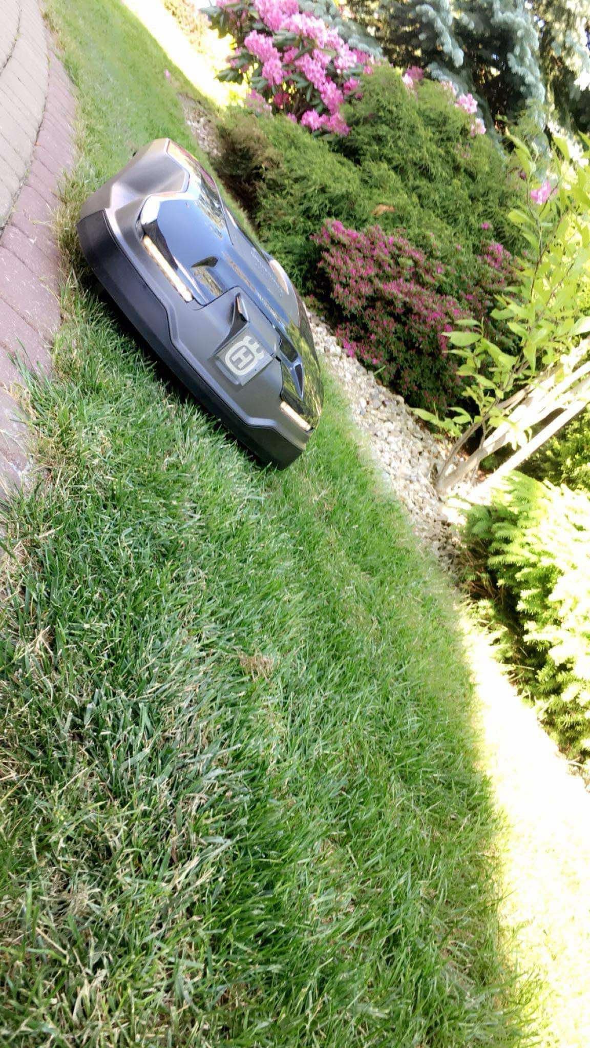 Automatyczna kosiarka Husqvarna na trawniku w Kocmyrzowie, tuż przy krawędzi chodnika i rabaty z kwitnącymi krzewami.
