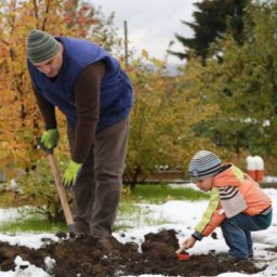 OGRODY MARZEŃ SZCZECIN MYKHAILO KHOLODKOV - Zakładanie Ogrod&oacute;w Szczecin