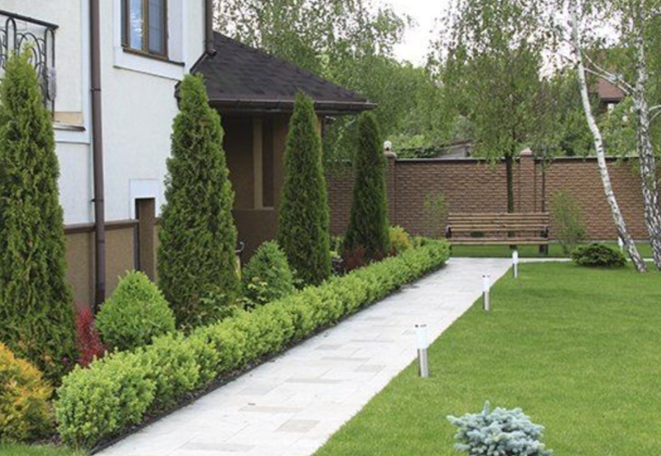 Starannie zaprojektowany ogród przydomowy z równo przyciętym żywopłotem, stożkowymi tujami i jasną ścieżką z płyt prowadzącą do drewnianej ławki na tle ceglanego muru.