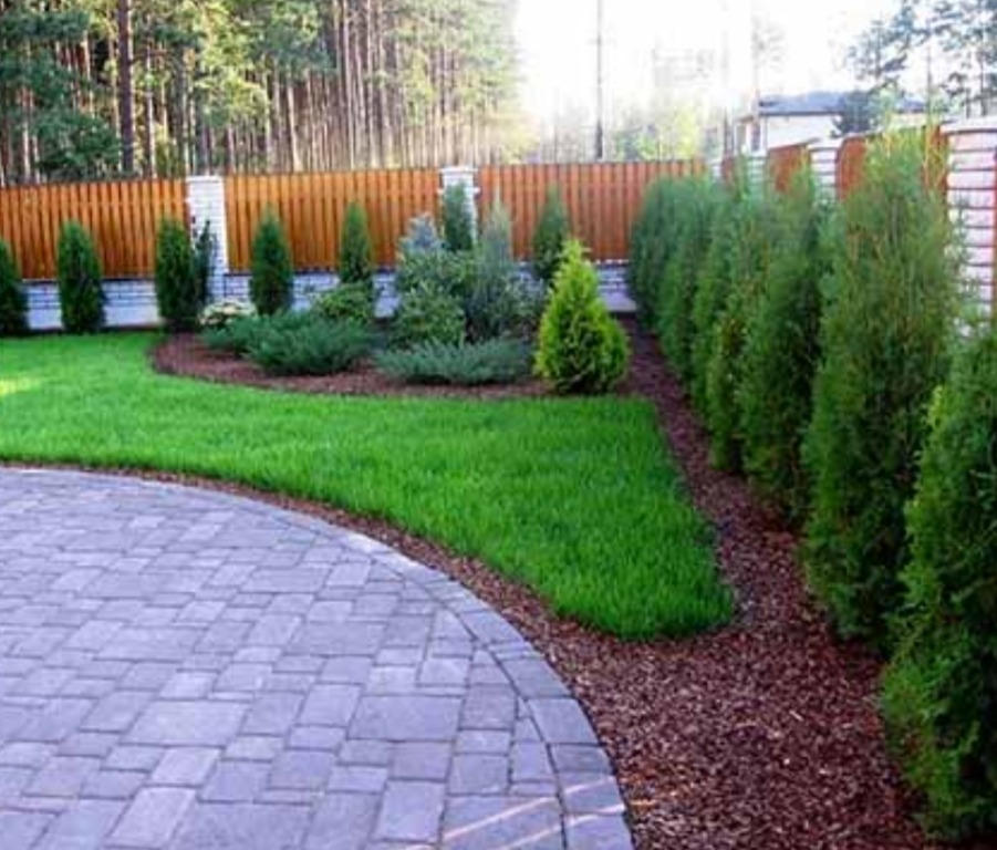 Uporządkowany ogród z równo przystrzyżonym trawnikiem, ścieżką z kostki brukowej, obrzeżami z kory i rzędem wysokich, smukłych drzewek iglastych wzdłuż ogrodzenia.