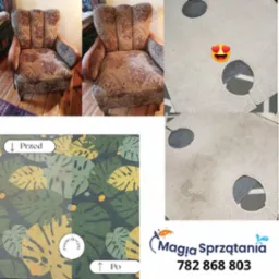 Kompozycja zdjęć: fotel z brązowym wzorem przed i po czyszczeniu, dywan modułowy z plamami przed i po, logo firmy 'Magia Sprzątania' z numerem telefonu.