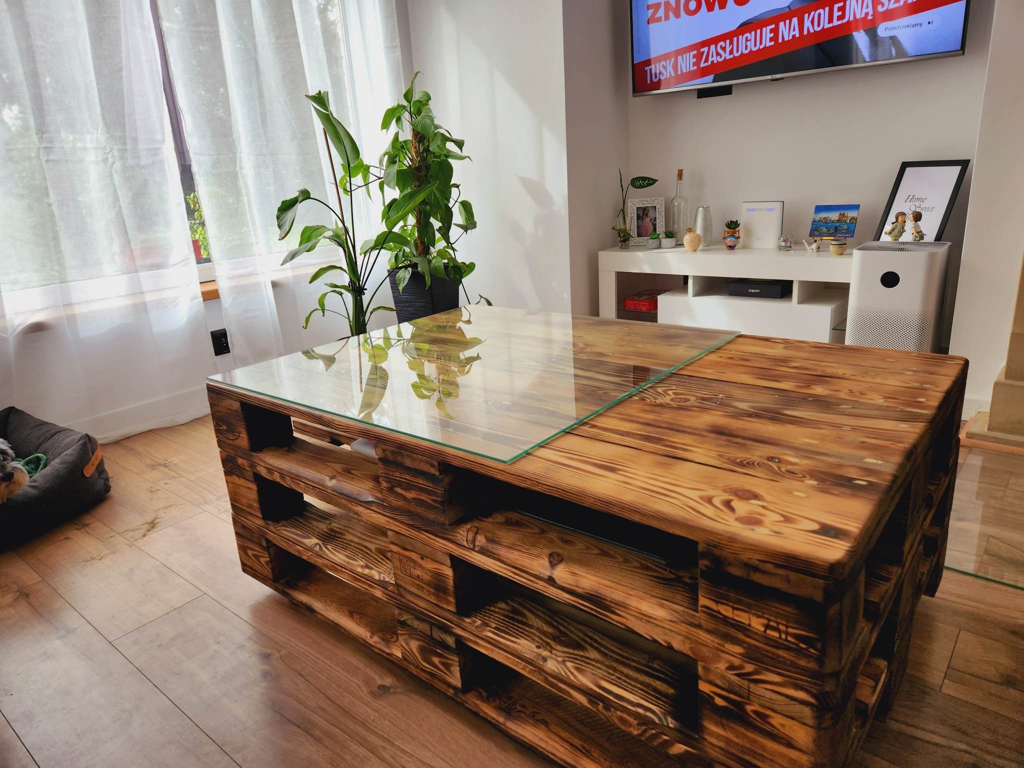 Stolik kawowy wykonany z palet, z blatem ze szkła, ustawiony w salonie z drewnianą podłogą, obok okna z białymi zasłonami i rośliną doniczkową.