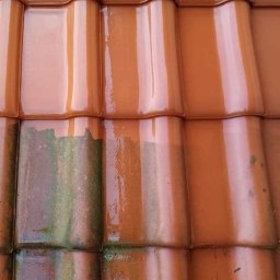 T&M Malowanie Dachów I Elewacji. - Częściowo umyte, mokre, pomarańczowe dachówki ceramiczne z widocznym zielonym nalotem na niektórych elementach.