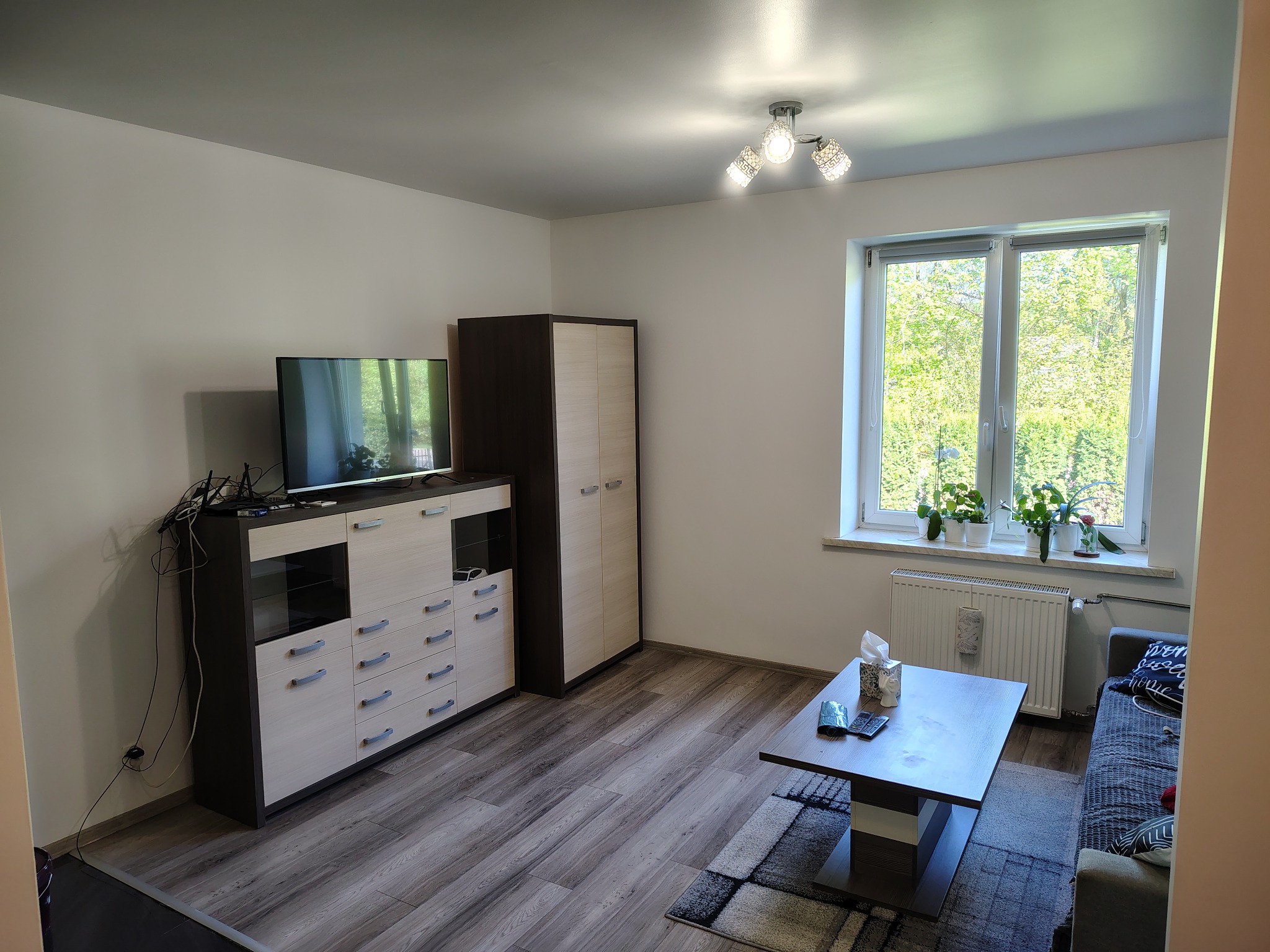 Jasne wnętrze salonu z drewnianą podłogą, szafką RTV, szafą i oknem. Na stoliku kawowym leżą piloty. Widok na zieleń za oknem.