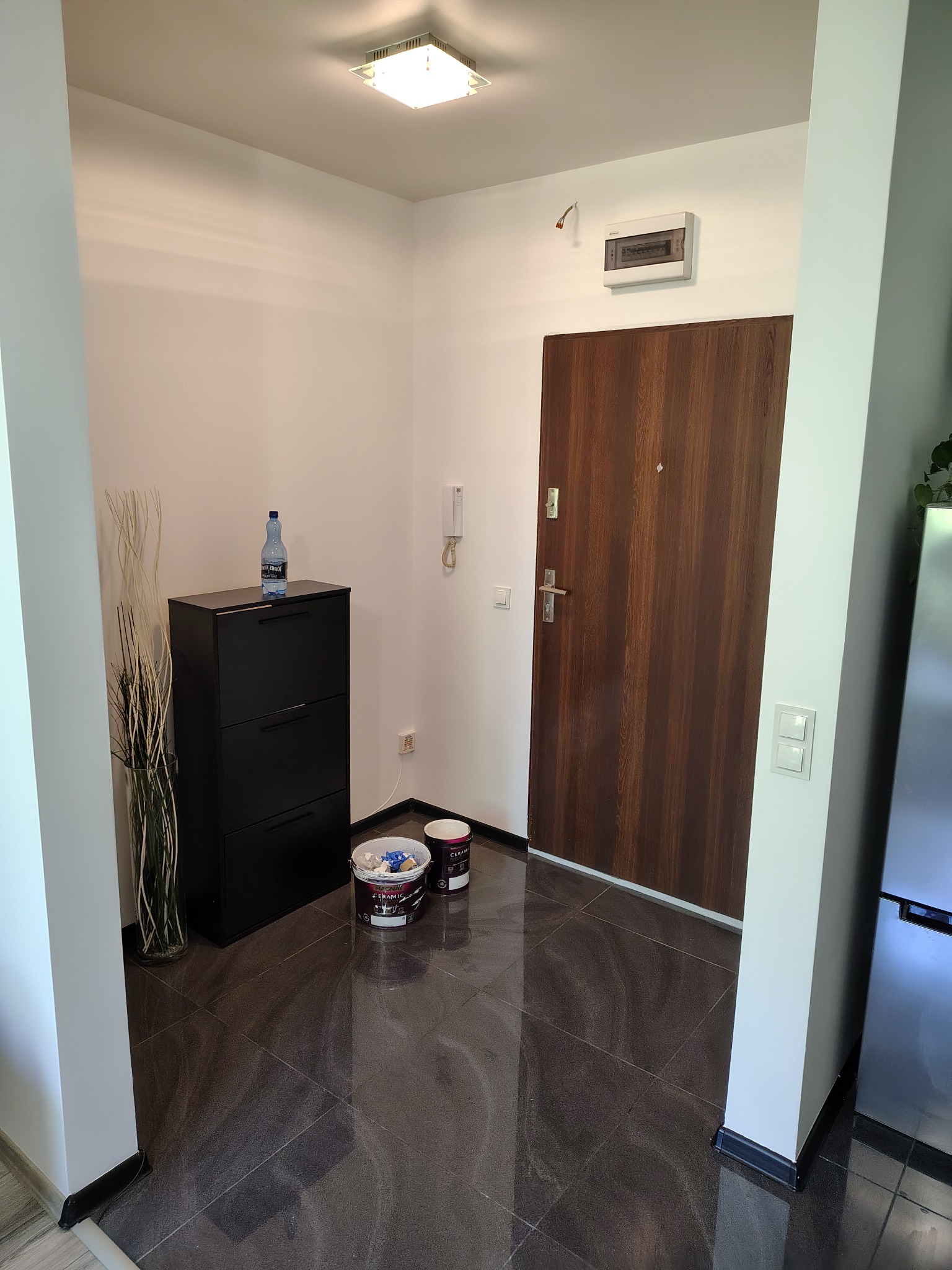 Wnętrze po malowaniu: przedpokój z brązowymi drzwiami, białe ściany, ciemna podłoga. Widoczne puszki z farbą, szafka na buty i butelka wody.
