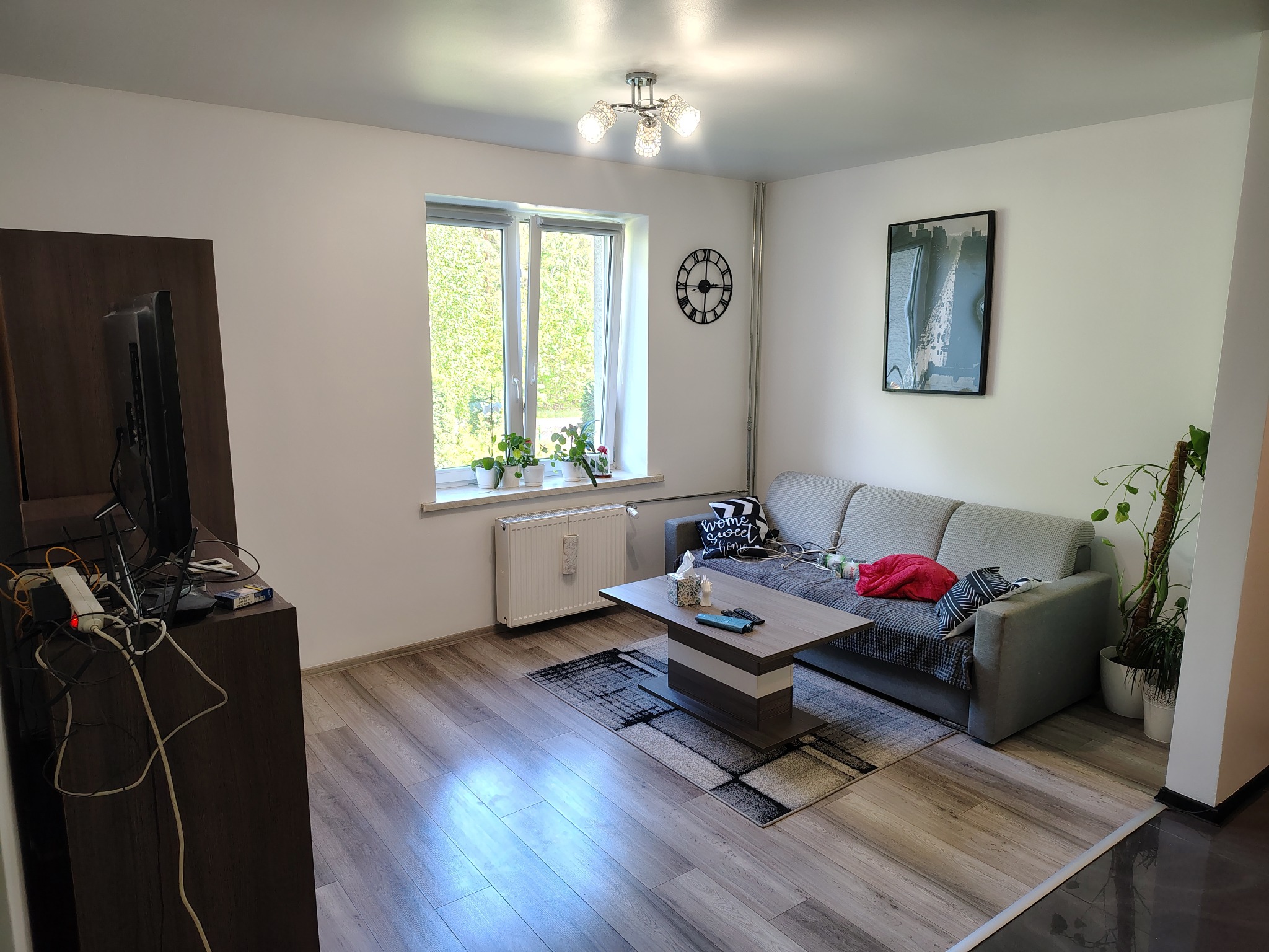 Jasne wnętrze pokoju dziennego: drewniana podłoga, szara sofa z poduszkami, stolik kawowy, kwiaty w oknie, minimalistyczny wystrój, lampa sufitowa.