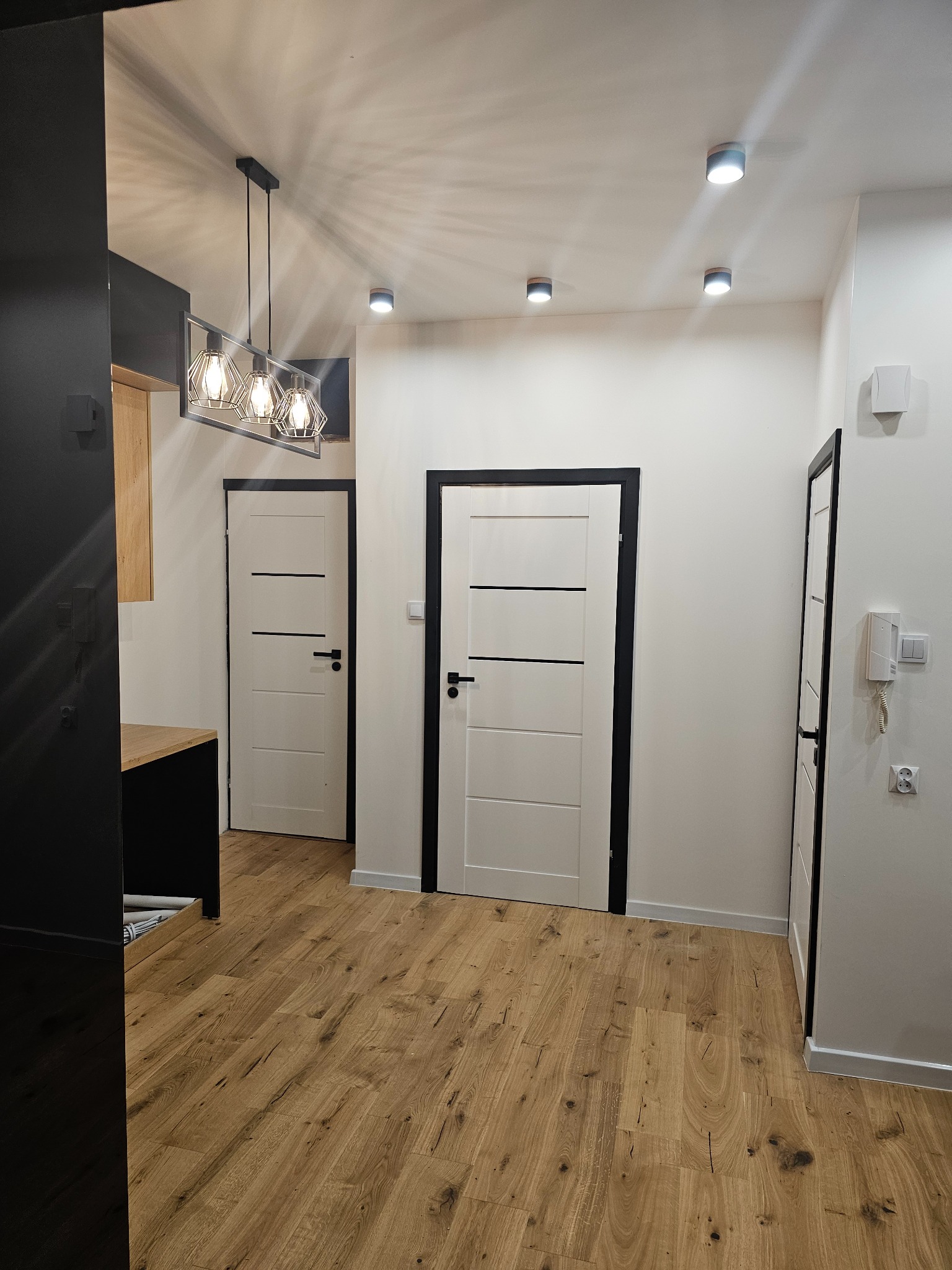 Nowoczesne wnętrze: drewniana podłoga, białe drzwi z czarnymi ramami, designerska lampa wisząca. Minimalistyczny styl i precyzyjne wykończenie.