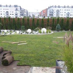 Trawa z rolki Pruszcz Gdański 3