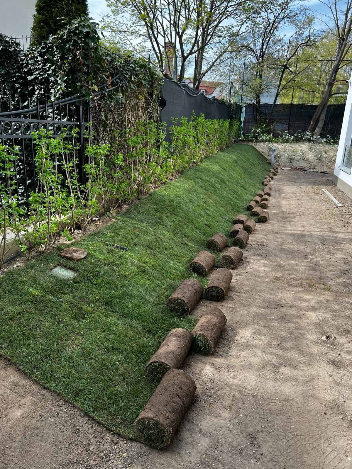 Trawnik przy apartamentowcu w Sopocie