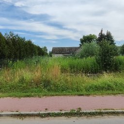 Instaltec - Zarośnięta działka z wysoką trawą i chwastami, widoczne domy w tle, zaniedbany teren przed zabudową.