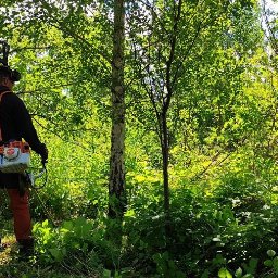 Instaltec - Osoba w ochronnym ubraniu i słuchawkach, z podkaszarką Stihl na tle zarośniętego terenu z drzewami i krzewami.