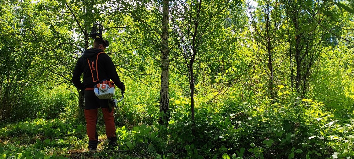 Osoba w ochronnym ubraniu i słuchawkach, z podkaszarką Stihl na tle zarośniętego terenu z drzewami i krzewami.