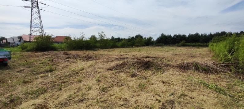 Świeżo skoszona trawa na rozległym terenie z widocznymi kępami ściętej trawy, w tle linia drzew i słup wysokiego napięcia, częściowo widoczny samochód po lewej stronie.