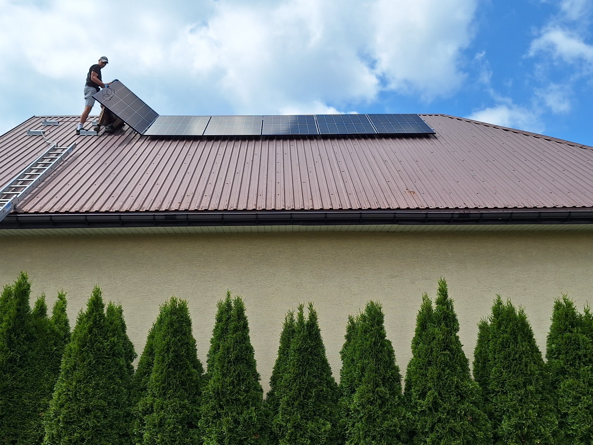 Instalator na dachu z brązowej blachy trapezowej montuje panel fotowoltaiczny; widoczna drabina oparta o dach i rząd zielonych tuj na tle beżowej ściany budynku.