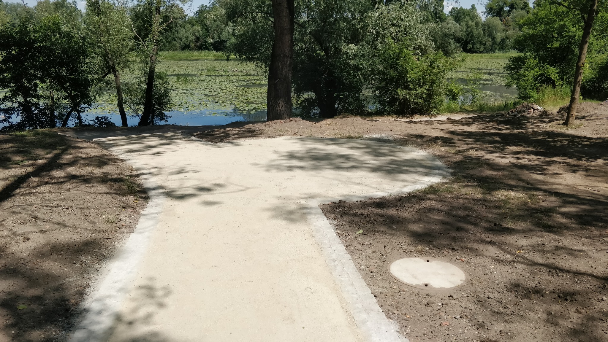 Wyłożona jasnym materiałem ścieżka prowadząca w kierunku jeziora z liliami wodnymi, obrzeża ścieżki wykończone szarym betonem, widoczne drzewa i krzewy.