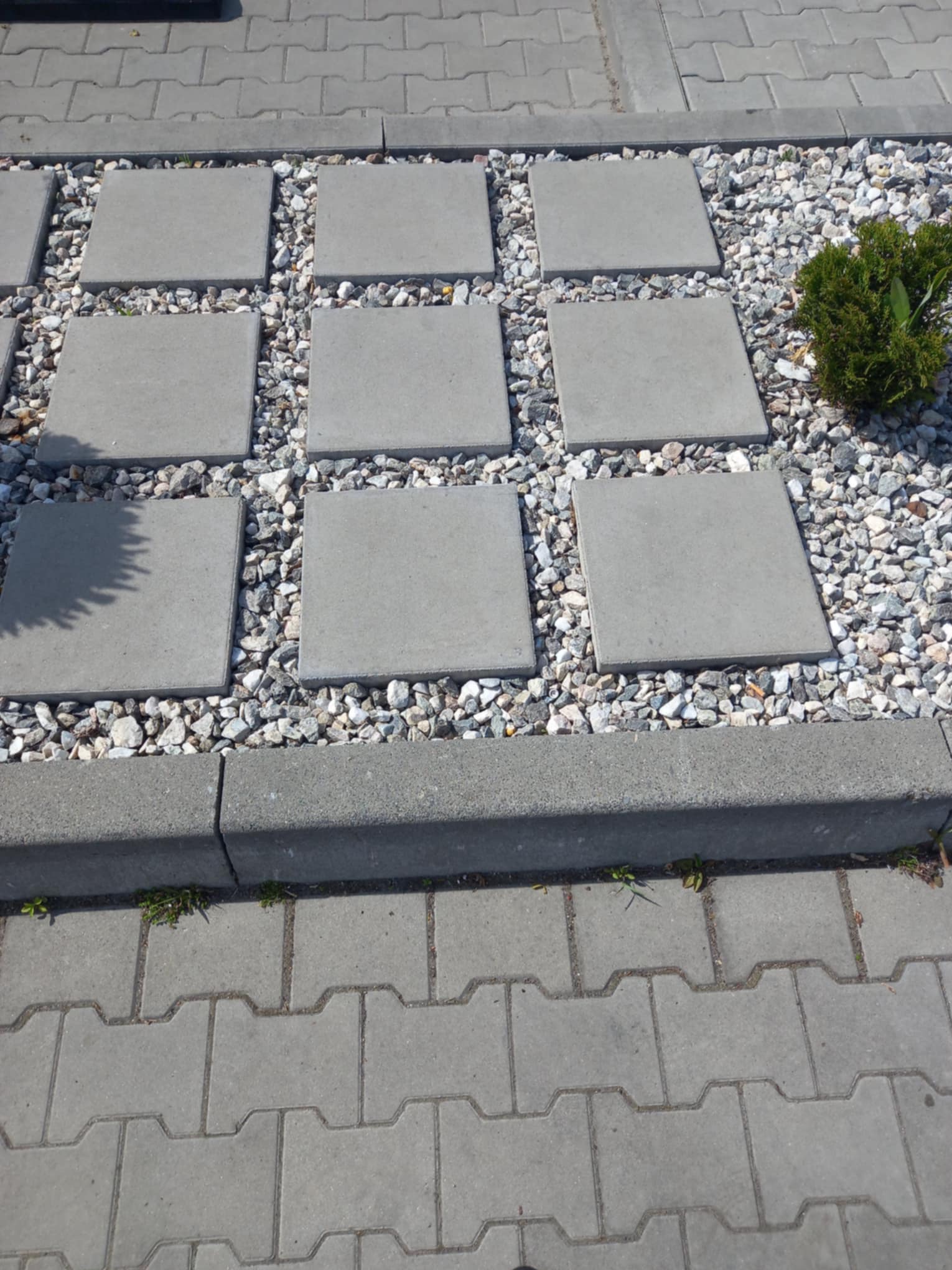 Ścieżka z kwadratowych płyt betonowych otoczonych białym grysem, ograniczona obrzeżem betonowym i kostką brukową, z małą kulistą rośliną ozdobną.