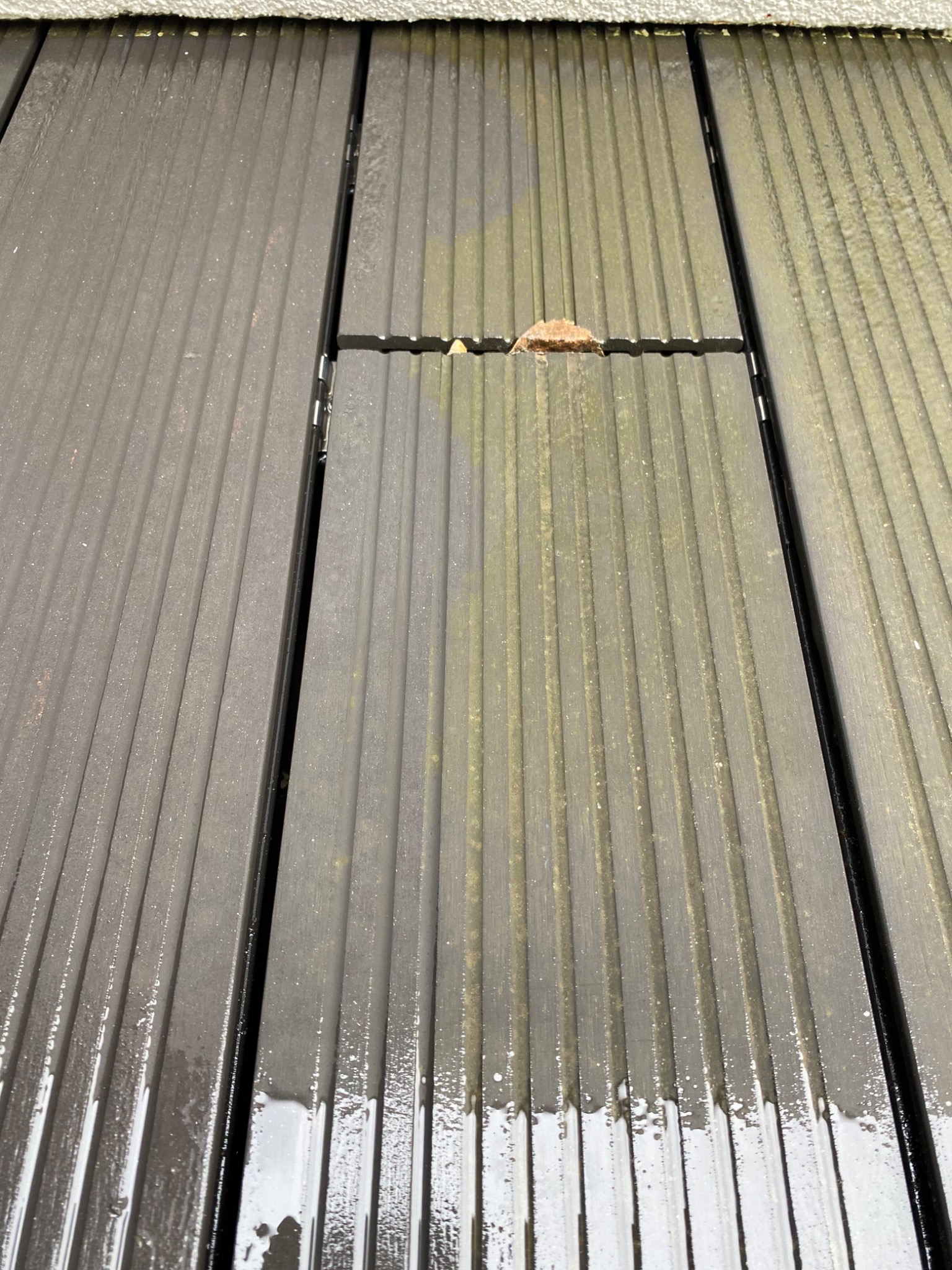 Mokra, brudna, ryflowana deska tarasowa z kompozytu, częściowo oczyszczona z zielonego nalotu. W szczelinie między deskami leży mały, brązowy liść.