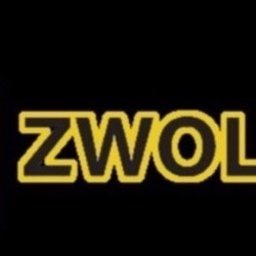 Usługi Remontowo-Budowlane ZWOL-BUD - Gładzie Gipsowe Grudziądz