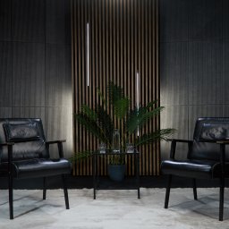 aim-Studio Sp. z o.o. - Studio filmowe: dwa czarne fotele, stolik z wodą i rośliną na tle ścian z pionowymi panelami. Z lewej reflektor studyjny. Scena gotowa do nagrań.