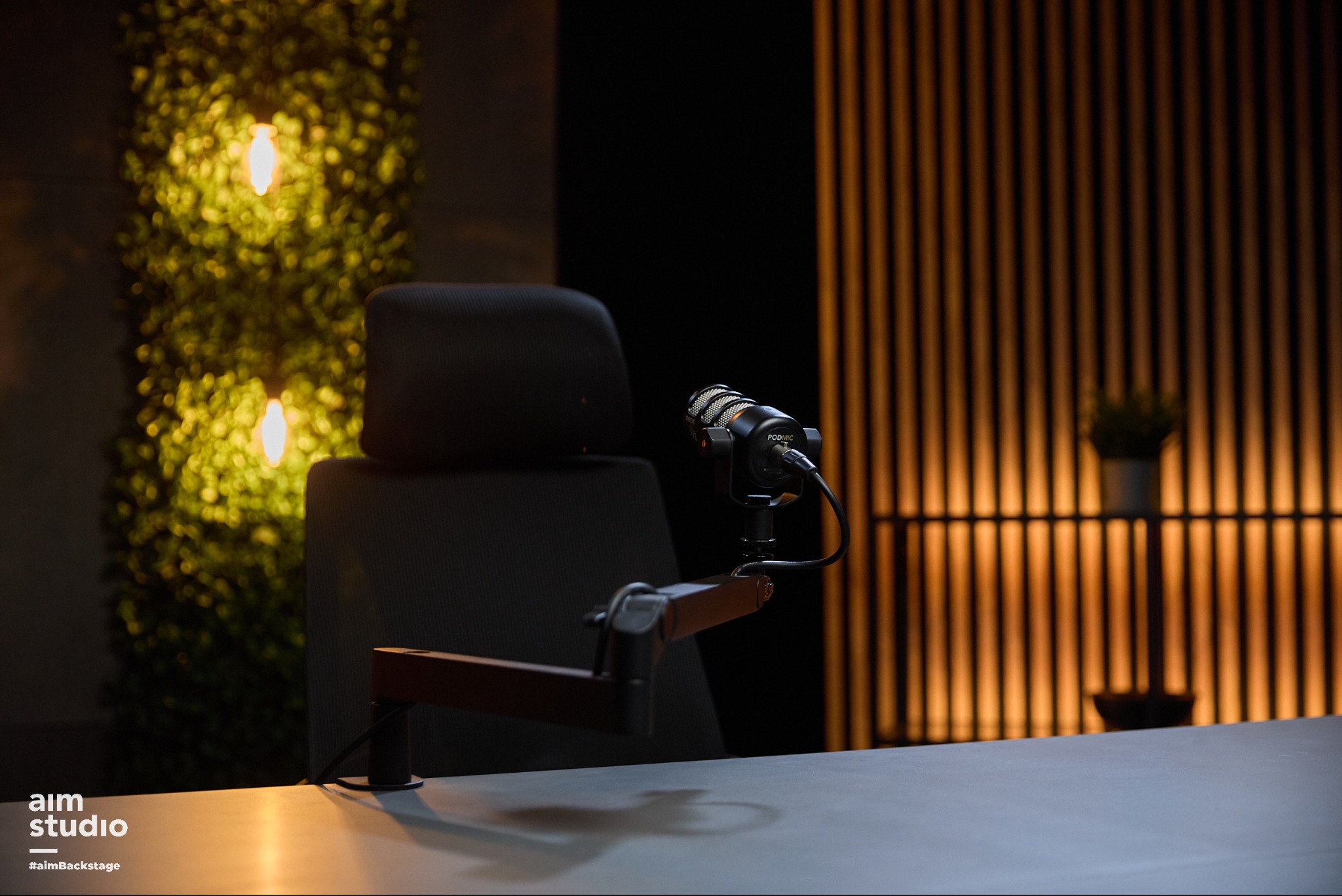 Mikrofon studyjny PODMIC na wysięgniku w profesjonalnym, oświetlonym studio nagrań z roślinnym akcentem i drewnianą ścianą w tle.