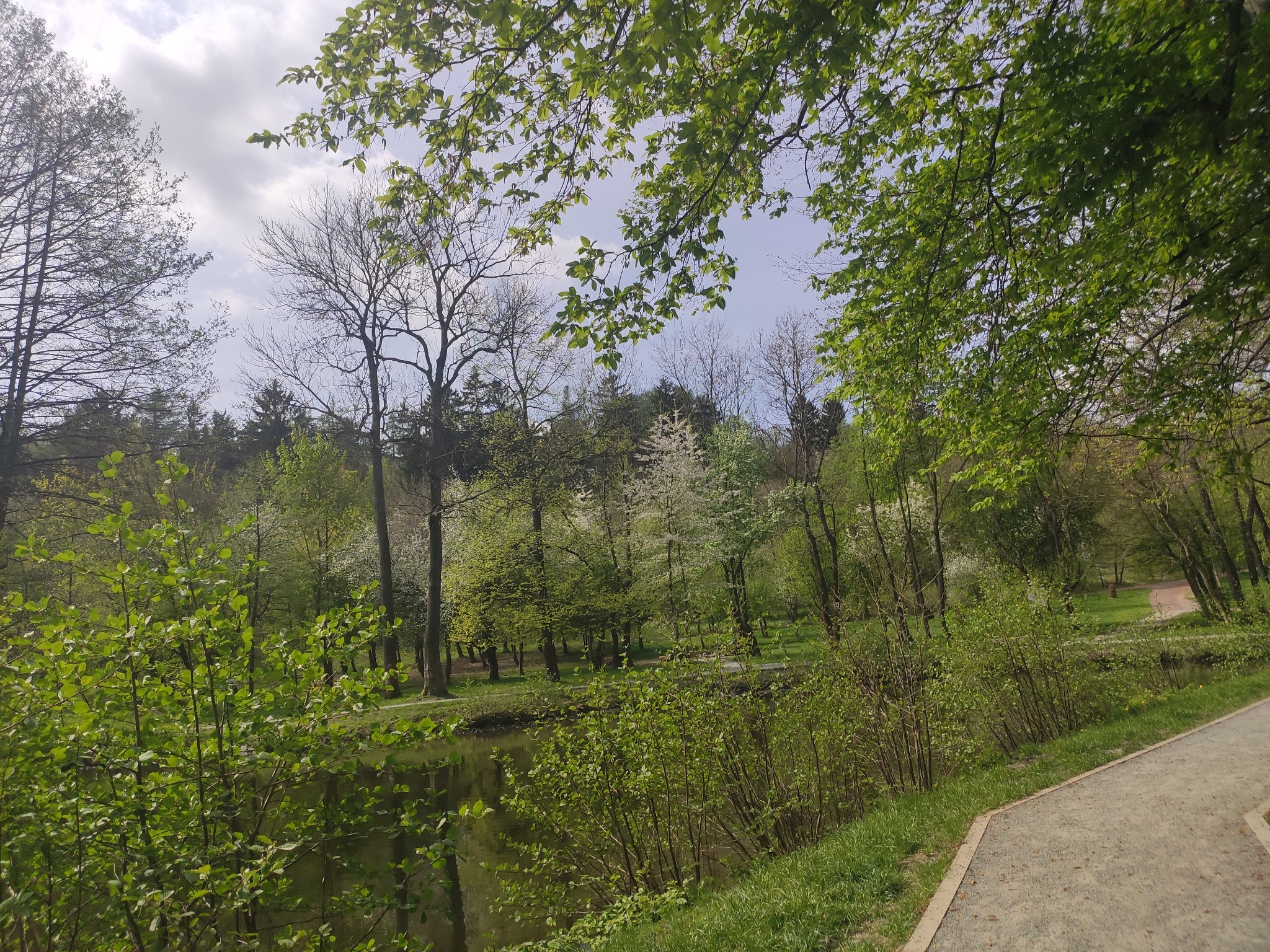 Parkowa ścieżka biegnąca wzdłuż spokojnego stawu otoczonego bujną zielenią drzew i krzewów w wiosennej scenerii.