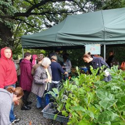 zbigniew perus - Pogotowie Elektryczne Wrocław