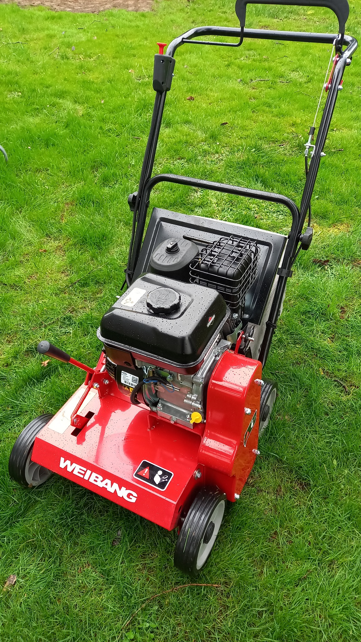 Czerwony wertykulator spalinowy marki Weibang stoi na zielonej trawie, pokryty kroplami wody.