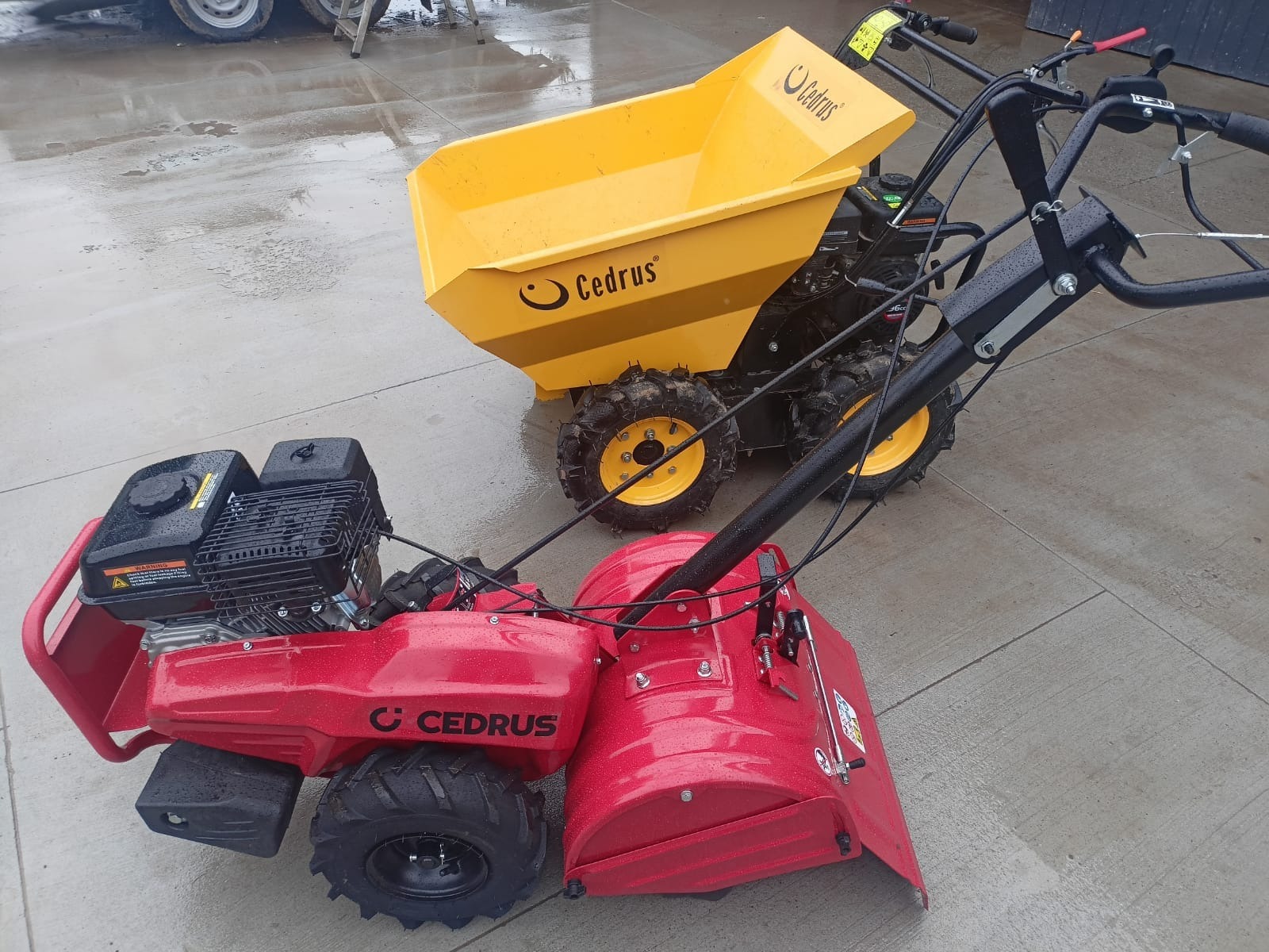Czerwony glebogryz i żółta mini wywrotka z logo Cedrus stoją na mokrym betonowym podłożu.