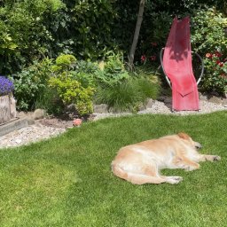 Koszenie trawy Kraków 2