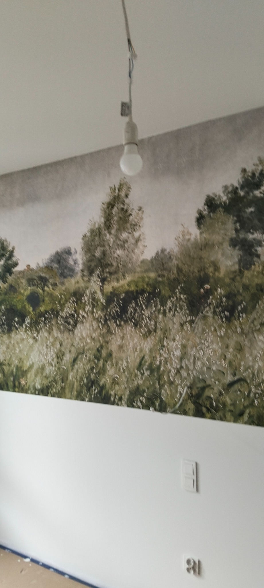 Fototapeta z motywem pejzażu na ścianie, biała ściana poniżej, widoczny włącznik światła i gniazdko. Żarówka na kablu zwisa z sufitu.
