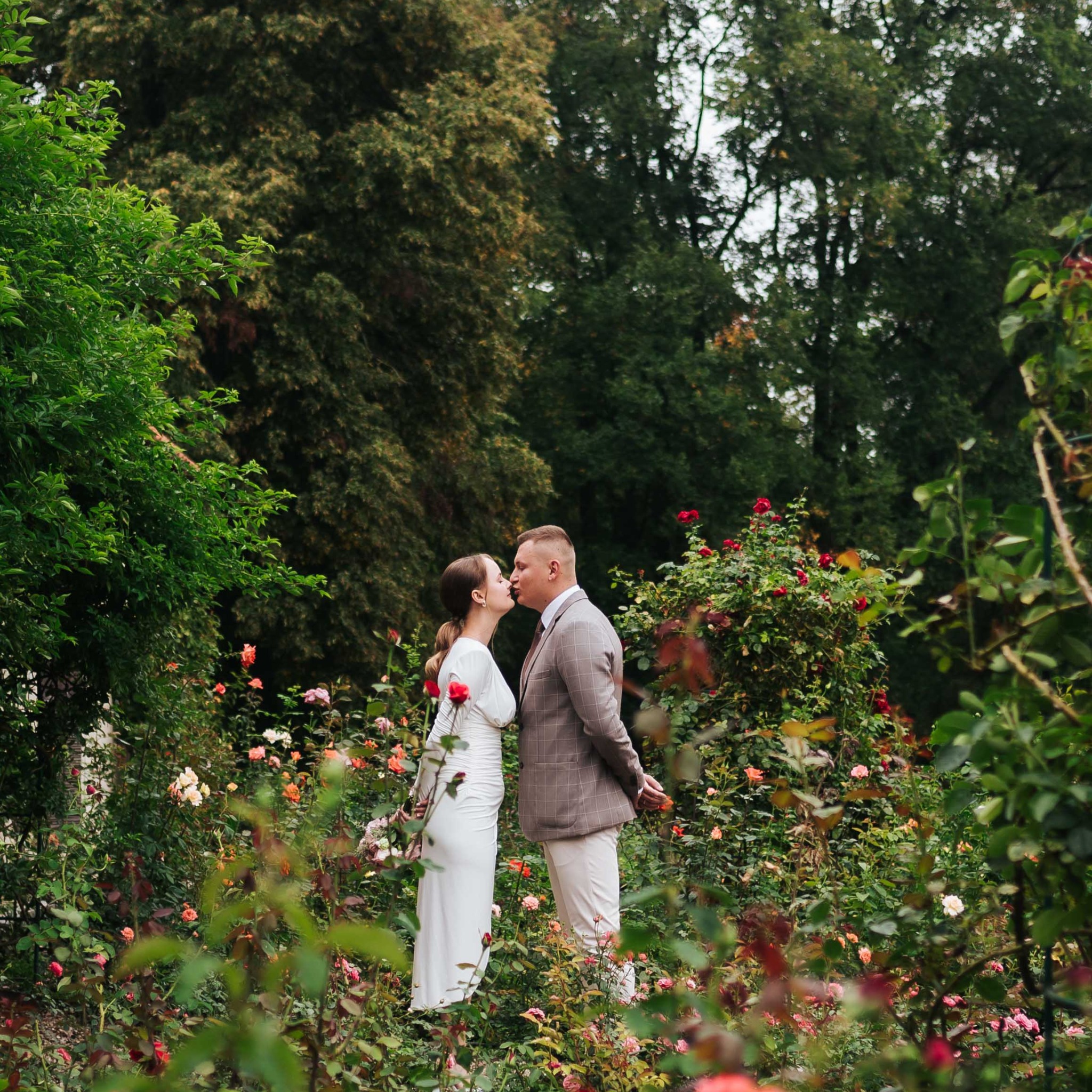 Para młoda całuje się w rozarium, otoczona różami w różnych odcieniach. Kobieta w białej sukni, mężczyzna w beżowym garniturze w kratę. Romantyczna sceneria.