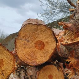 Drewno kominkowe Mielęcin 1