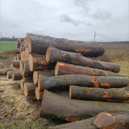 Drewno kominkowe Mielęcin 2