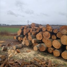 Drewno kominkowe Mielęcin 3