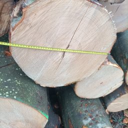 Drewno kominkowe Mielęcin 4