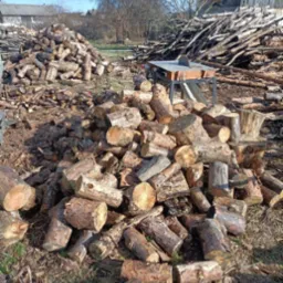 Stosy pociętych kloców drewna na ziemi, w tle budynki gospodarcze i piła tarczowa na stole.