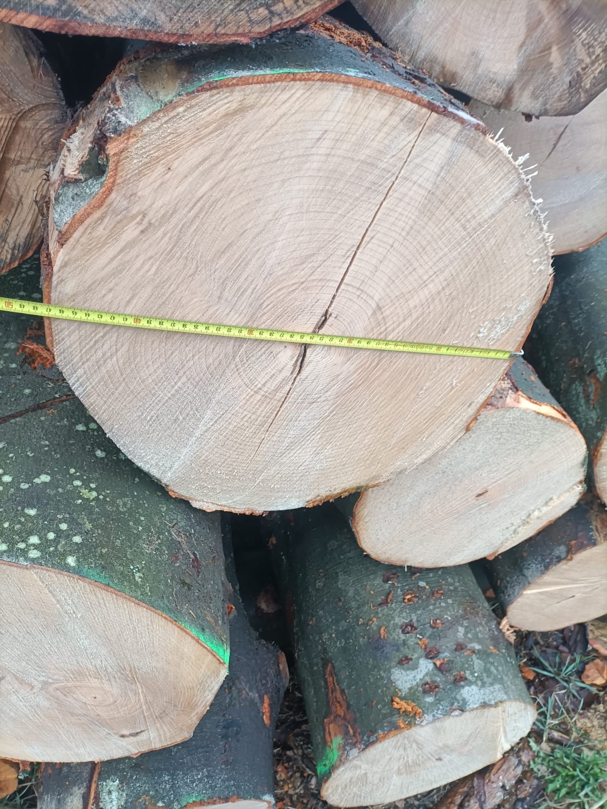 Stos pociętych kloców drewna z korą, jeden z kloców mierzony żółtą miarką zwijaną, widoczne słoje drewna i pęknięcie.