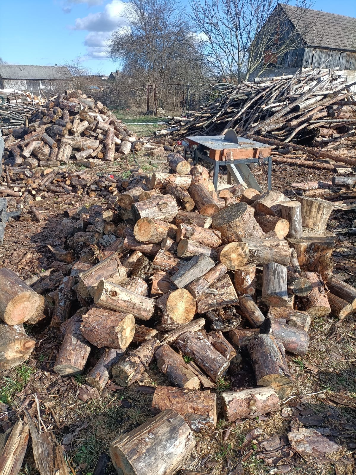 Stosy pociętych kloców drewna na ziemi, w tle budynki gospodarcze i piła tarczowa na stole.